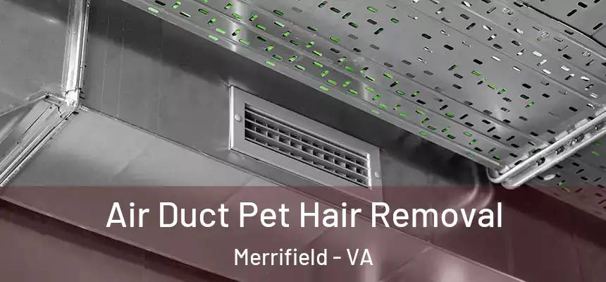  Air Duct Pet Hair Removal Merrifield - VA
