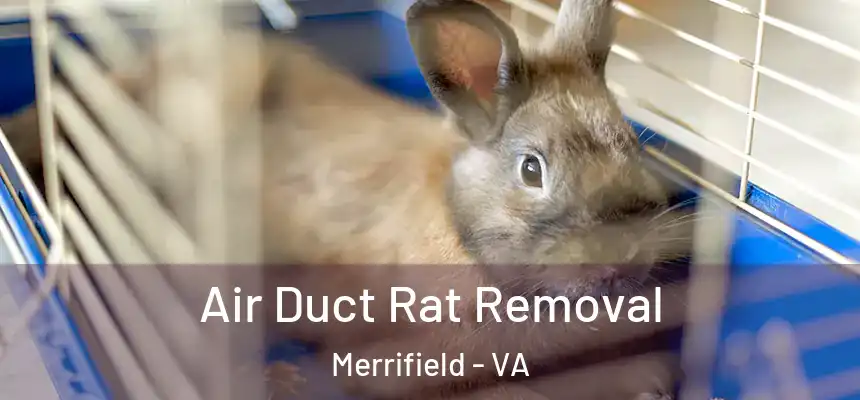  Air Duct Rat Removal Merrifield - VA