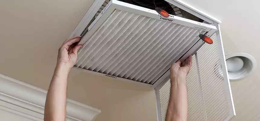 Preventive Cockroach-Proofing for Ducts in Merrifield