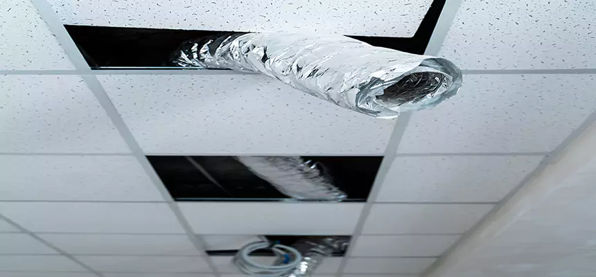 Our Air Duct Pet Hair Removal Services in Merrifield, VA