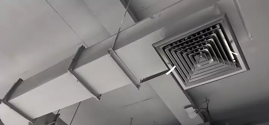 Our Pest Removal From Ducts Services in Merrifield, VA