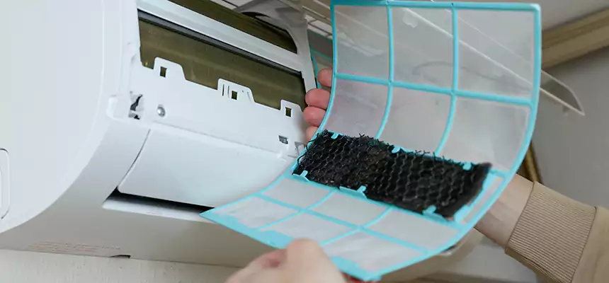 Gentle Ductwork Odor-Control Pet Dander Duct Cleaning in Merrifield, VA