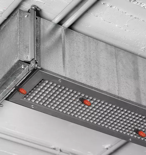 About Air Duct Cockroach Removal in Merrifield, VA